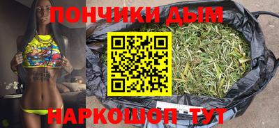 гидропоника Можга