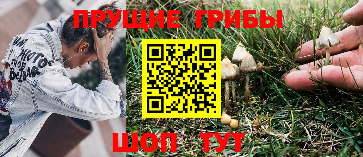 Псилоцибиновые грибы ЛСД Тара
