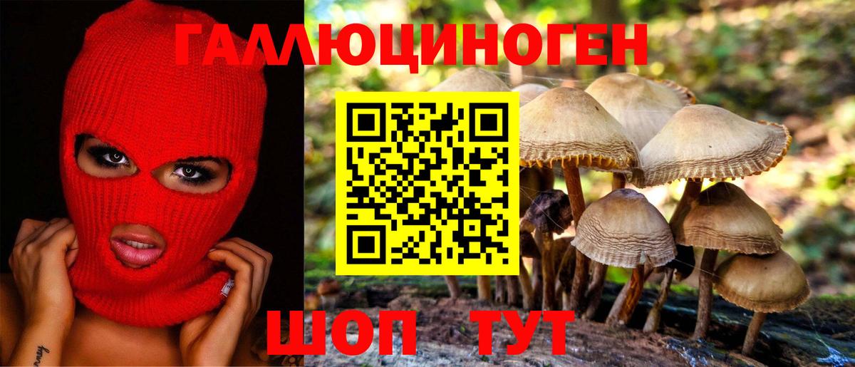 Галлюциногенные грибы Psilocybe  Вход с VPN  где продают наркотики  Тара 